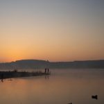 Охота на пернатую дичь: сроки, документы и безопасность в новом сезоне