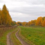 Как выбрать угодье для первого выезда на охоту