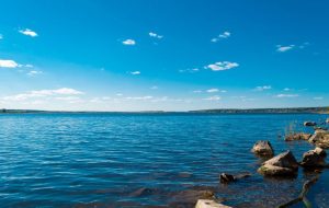 Отбор проб воды на озёрном мелководье
