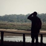 Как выбрать бинокль для охоты: кратность, свет и удобство