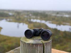 Охотник наблюдает за водоёмом без беспокойства птиц