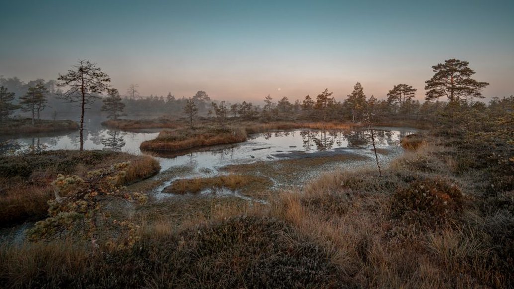 дымка от тлеющего торфяника над тёмной водой лесной реки