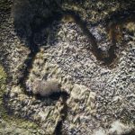 Весенние и летние миграции рыбы: на что смотреть рыболову