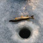 Где искать щуку зимой: пять перспективных мест для жерлиц