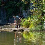 Как сезон меняет поведение рыбы: ориентиры для поиска на водоёме