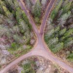 Как застройка меняет охотничьи угодья и маршруты зверя