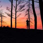 Техника для охоты: как оценить возможности и ограничения новинок