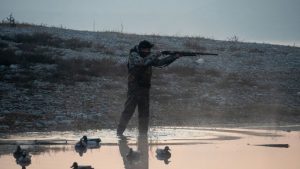 охотник наблюдает за утками с края камышового берега