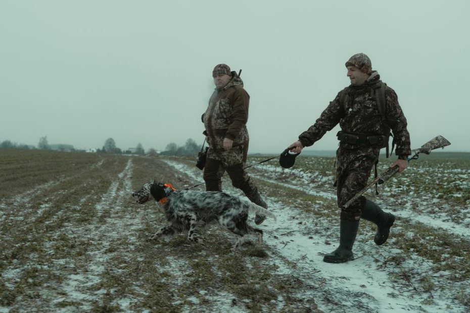 собака ищет птицу в траве рядом с охотником